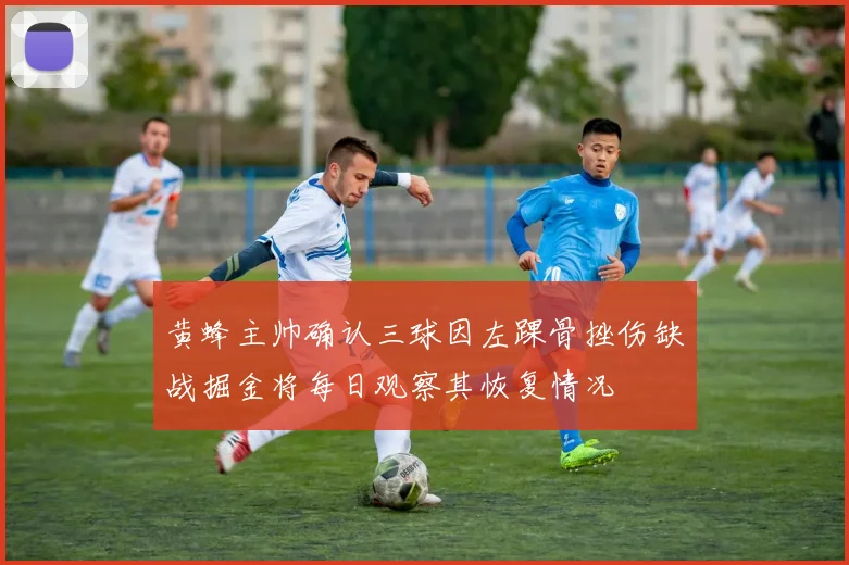 黄蜂主帅确认三球因左踝骨挫伤缺战掘金将每日观察其恢复情况