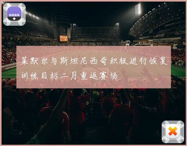 莱默尔与斯坦尼西奇积极进行恢复训练目标二月重返赛场