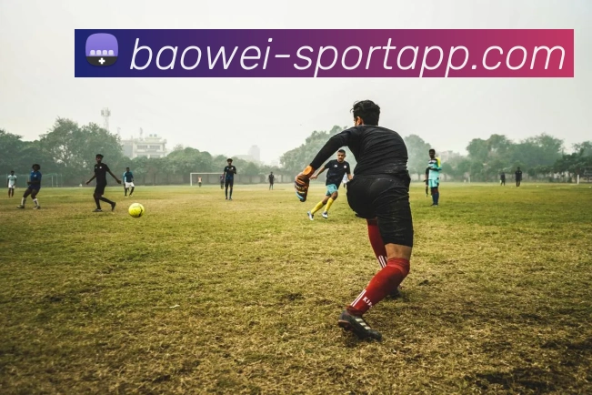 宝威体育APP 封面图