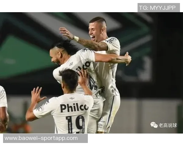 巴甲赛季落幕仅两队无洲际赛资格且不降级桑托斯将征战南美杯